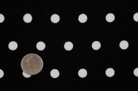 セレクト生地：水玉ミニ裏毛（ブラック）25cmカットクロス