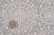 画像2: セレクト生地：雪の結晶ジャガード裏毛（グレー）25cmカットクロス (2)