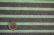 画像1: セレクト生地：ボーダー天竺（チャコールグレー×パステルグリーン）90cmカットクロス (1)