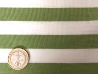 セレクト生地：【難有】ボーダー天竺（オフ／グリーン）50cmカットクロス