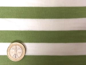 画像1: セレクト生地：【難有】ボーダー天竺（オフ／グリーン）50cmカットクロス