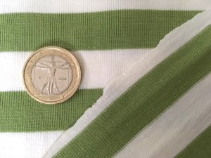 画像3: セレクト生地：【難有】ボーダー天竺（オフ／グリーン）50cmカットクロス