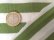 画像3: セレクト生地：【難有】ボーダー天竺（オフ／グリーン）50cmカットクロス (3)
